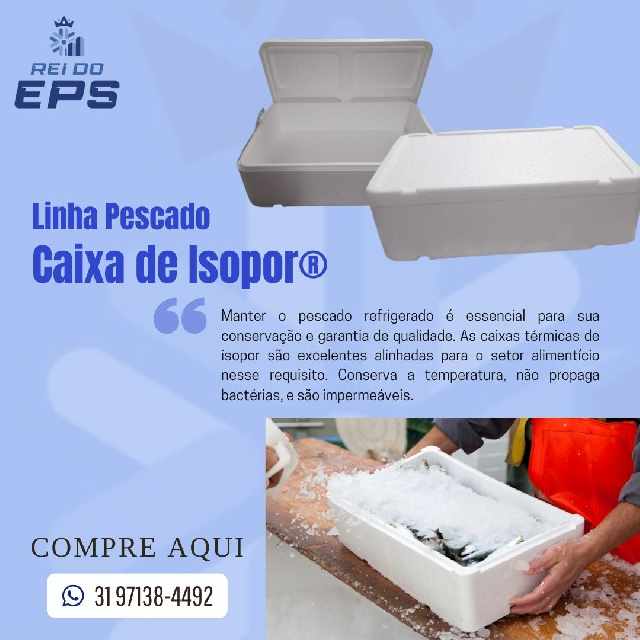 Foto 1 - Caixas de isopor para pescado